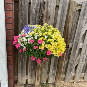 Meet your Posher, Celeste